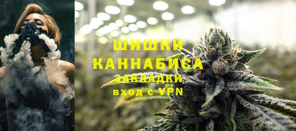 apvp Белокуриха