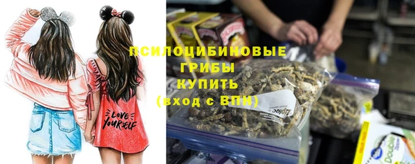 PSILOCYBIN Балахна